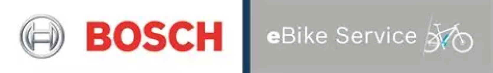 Bicicletta Bosch ebike Service